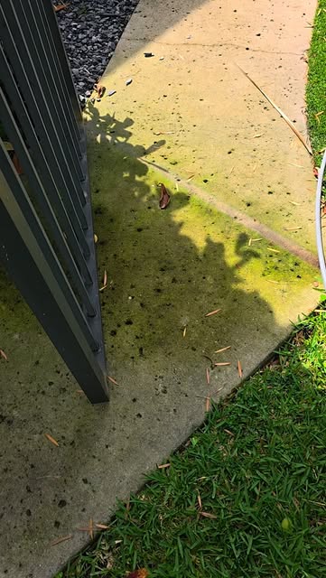 A real On Point job: algae-green grime on one side of the concrete, cleaned surface on the other, split by a sharp line.