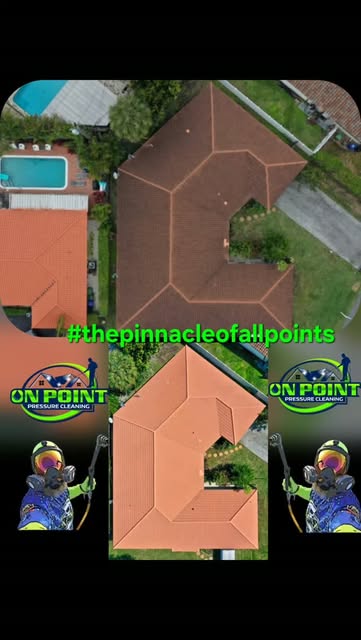 Aerial before and after of the same tile roof, dirty on top and clean below.